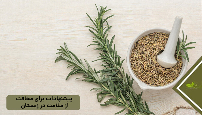 رزماری (Rosemary): تقویت کننده سیستم ایمنی 